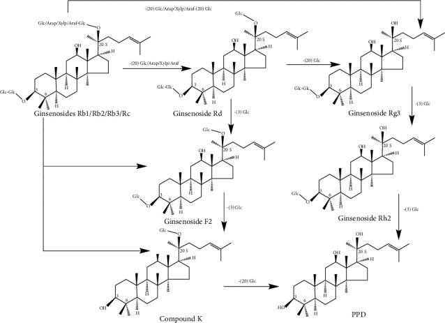 Structural Characters and Pharmacological Activity of Protopanaxadiol-Type Saponins and Protopanaxatriol-Type Saponins from Ginseng.