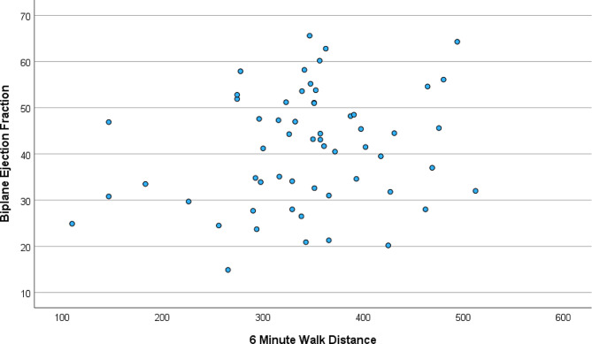 Longitudinal strain correlates with 6-minute walk distance whereas ejection fraction and diastolic parameters do not.