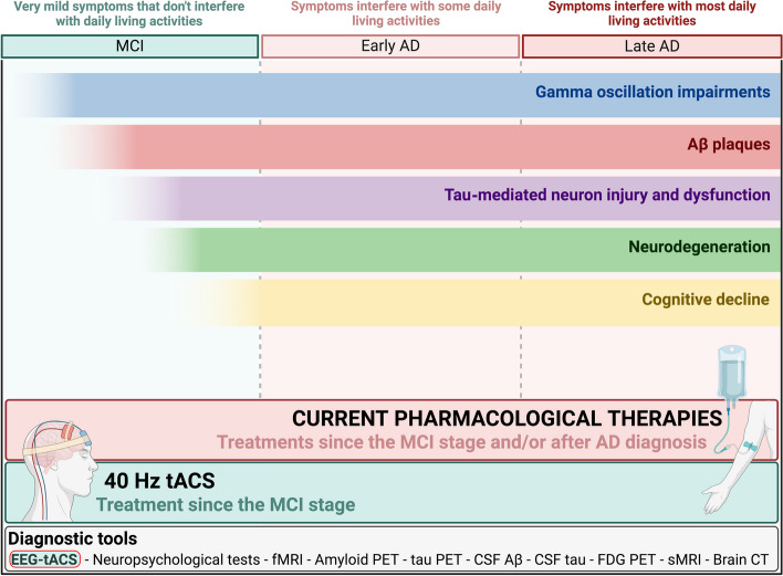 Transcranial alternating current stimulation (tACS) at gamma frequency: an up-and-coming tool to modify the progression of Alzheimer's Disease.