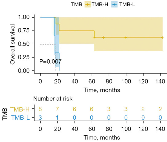 Tumor mutation burden and <i>FAT3</i> mutation influence long-term survival in surgically resected small cell lung cancer.