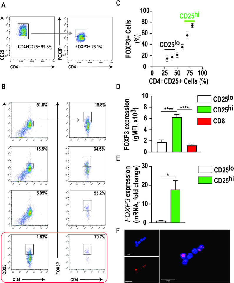 The CCL2-CCR4 Axis Promotes Regulatory T Cell Trafficking to Canine Glioma Tissues.