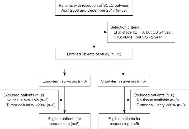Tumor mutation burden and <i>FAT3</i> mutation influence long-term survival in surgically resected small cell lung cancer.