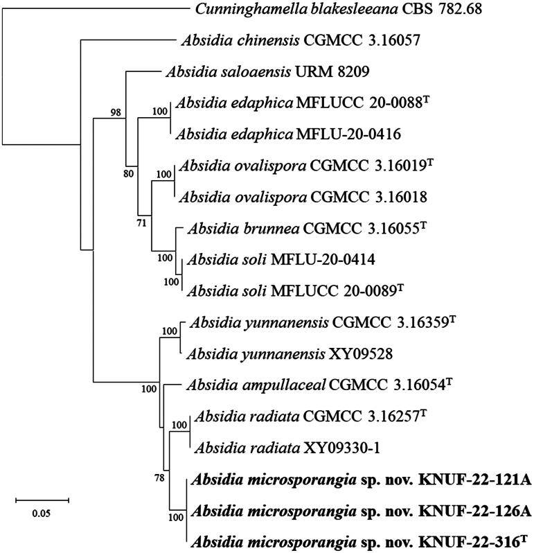 Molecular Identification of a New Species of <i>Absidia</i> (Cunninghamellaceae, Mucorales) Isolated from Soil in Korea.