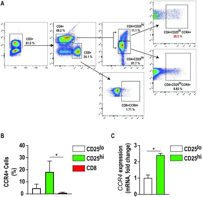 The CCL2-CCR4 Axis Promotes Regulatory T Cell Trafficking to Canine Glioma Tissues.