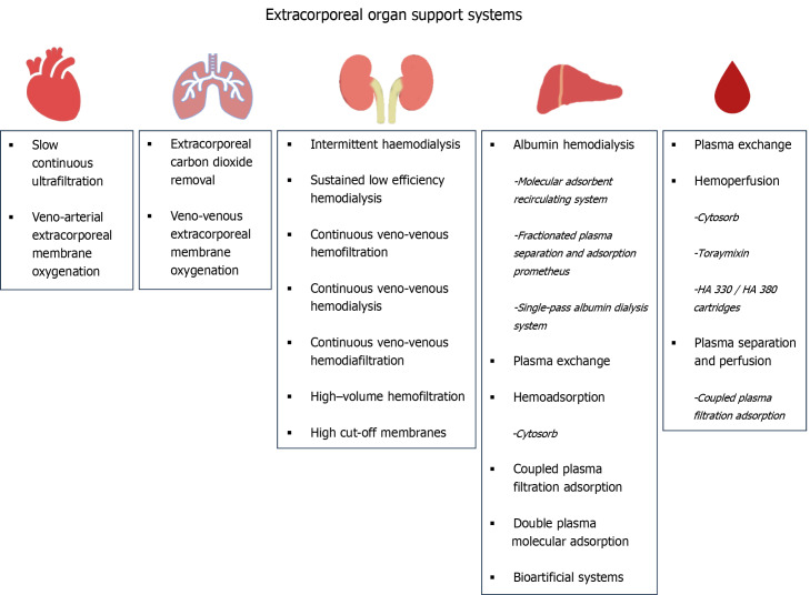 Extracorporeal organ support for critically ill patients: Overcoming the past, achieving the maximum at present, and redefining the future.