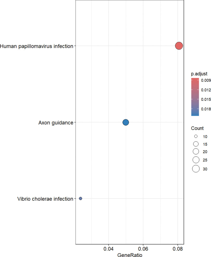 Genome-wide DNA methylation profiles and breast cancer among World Trade Center survivors.