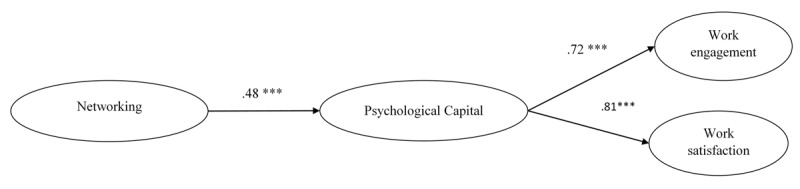 From Networking to Attitudinal Outcomes: Psychological Capital as a Mediator.