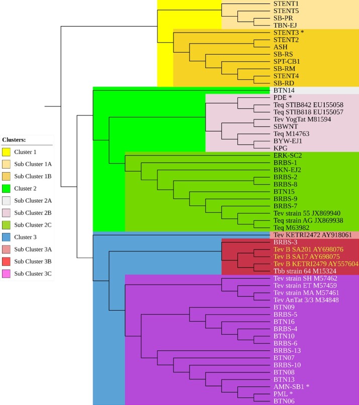Molecular identification of new Trypanosoma evansi type non-A/B isolates from buffaloes and cattle in Indonesia.