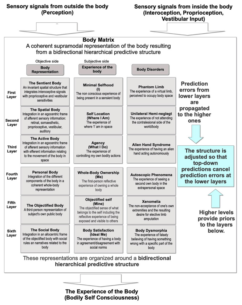 Editorial "Embodiment in the Metaverse: How Real and Virtual Bodies in Interaction Affect Cognition".