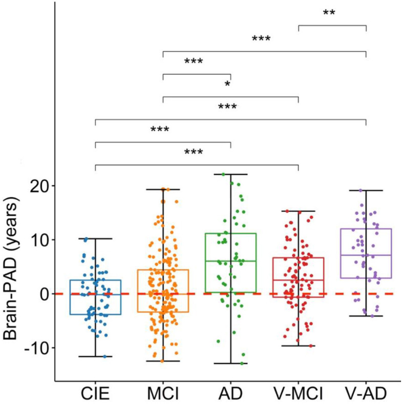 Cerebrovascular lesion loads and accelerated brain aging: insights into the cognitive spectrum.