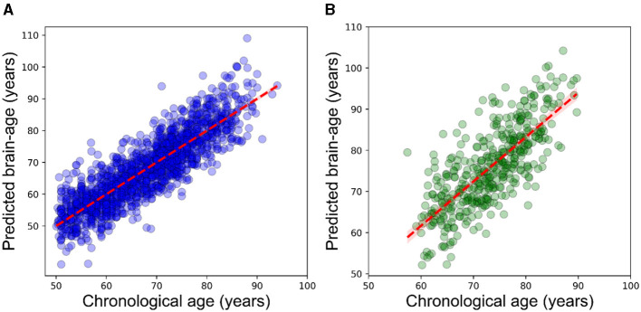 Cerebrovascular lesion loads and accelerated brain aging: insights into the cognitive spectrum.