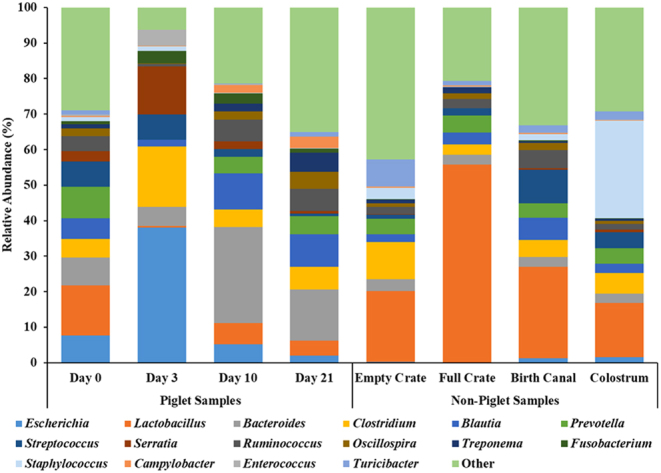 Maternal versus environmental contributions to the piglet pioneer microbiome.