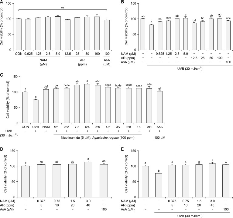 Combination of Nicotinamide and <i>Agastache rugosa</i> Extract: A Potent Strategy for Protecting Hs68 Cells from UVB-Induced Photoaging.