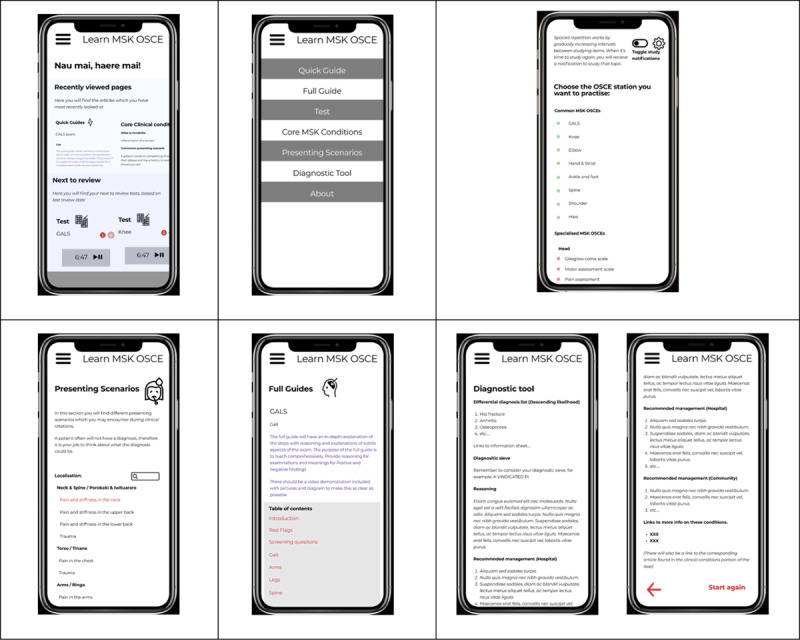 Rapid Design of a Student-Centred App for Musculoskeletal Clinical Skills: An Example of a Theoretically Informed Approach to Developing Apps for Learning.