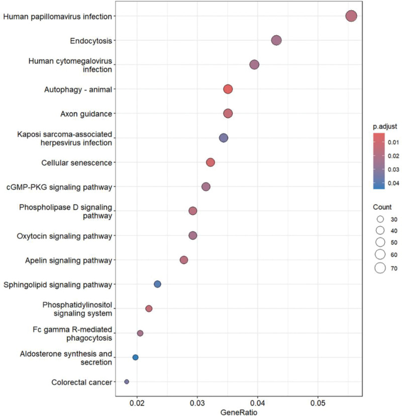 Genome-wide DNA methylation profiles and breast cancer among World Trade Center survivors.