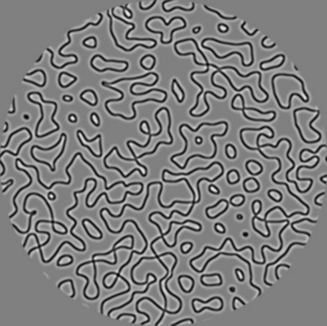 Abstract Image