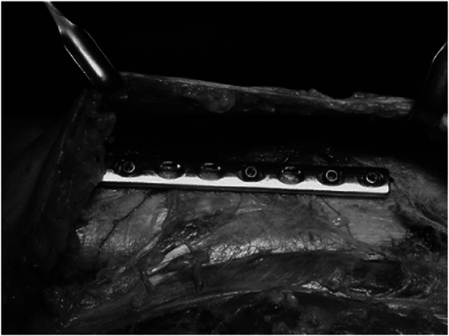 Abstract Image
