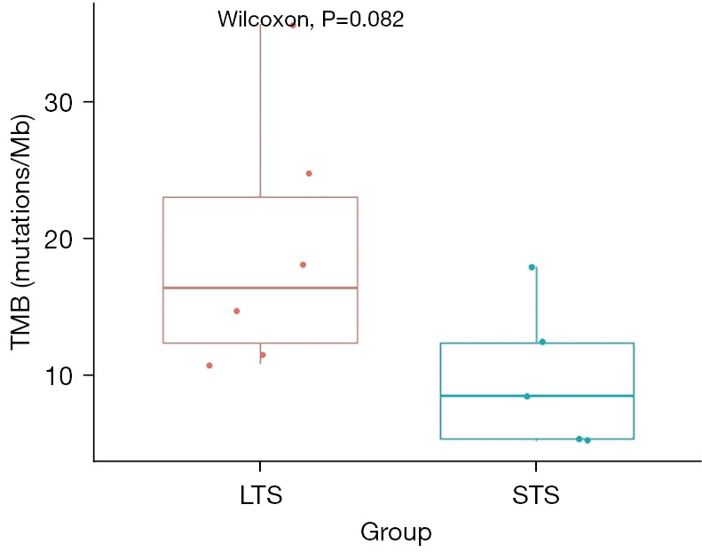 Tumor mutation burden and <i>FAT3</i> mutation influence long-term survival in surgically resected small cell lung cancer.