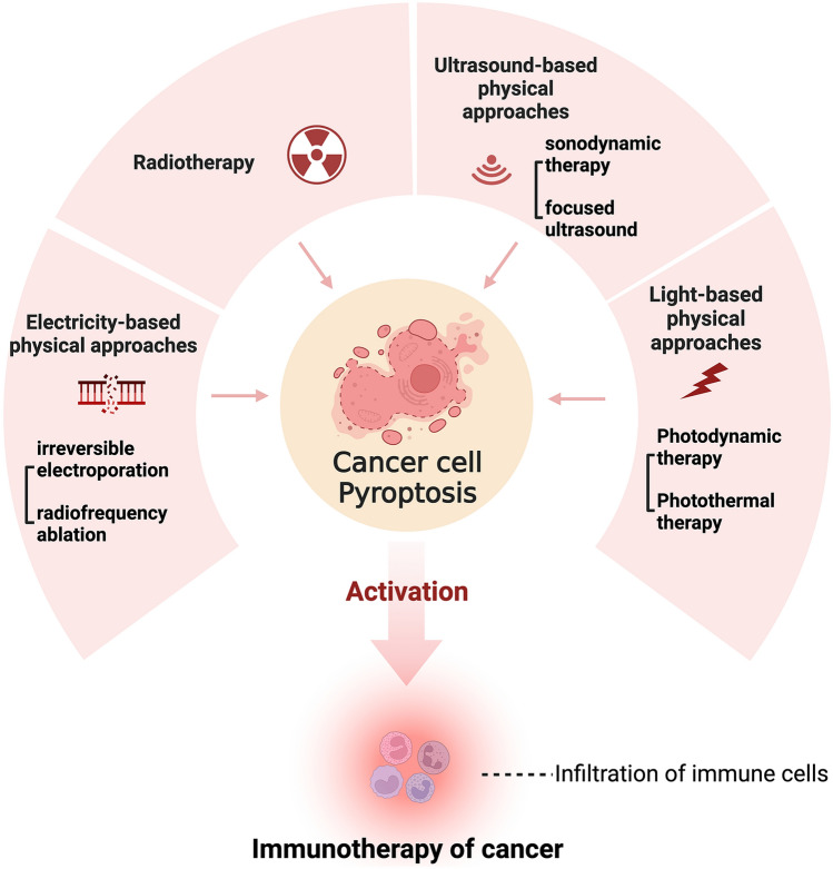 Synergistically Augmenting Cancer Immunotherapy by Physical Manipulation of Pyroptosis Induction.