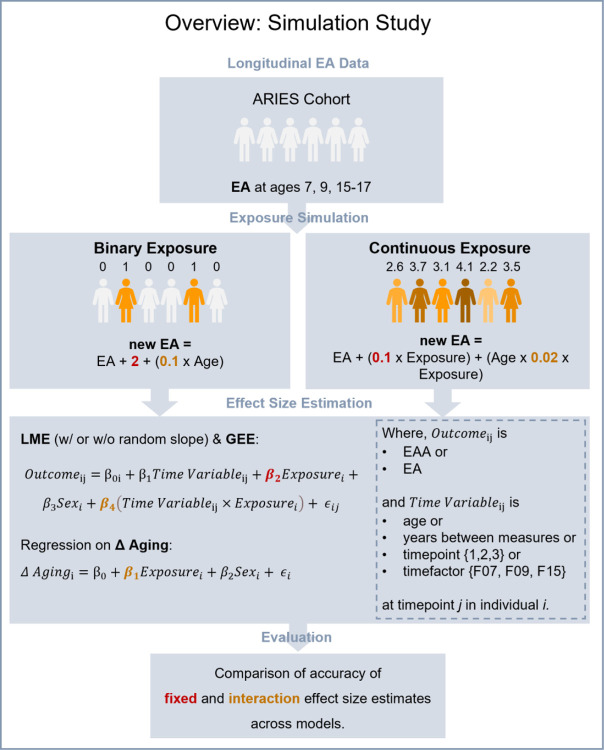 Maximizing Insights from Longitudinal Epigenetic Age Data: Simulations, Applications, and Practical Guidance.