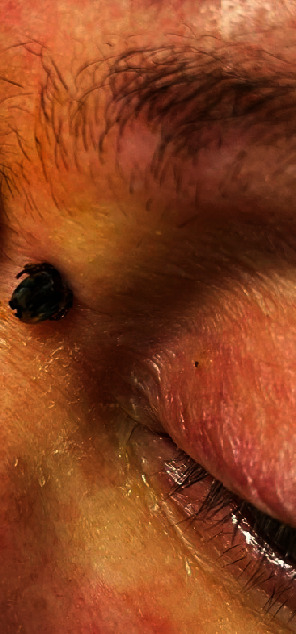 Abstract Image