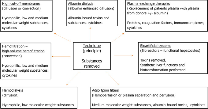 Extracorporeal organ support for critically ill patients: Overcoming the past, achieving the maximum at present, and redefining the future.