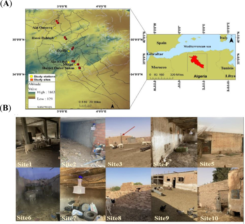 First Comprehensive List of Phlebotomine Sand Fly Species (Diptera: Psychodidae) in a Leishmaniasis Focus (Djelfa, Algeria), Including the First Record of <i>Phlebotomus langeroni</i> Females in Algeria.