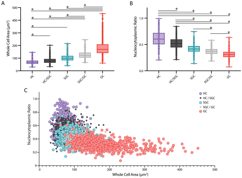 Longitudinal tracking of hemocyte populations in vivo indicates lineage relationships and supports neural progenitor identity in adult neurogenesis.