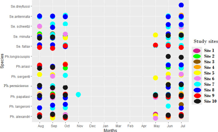 First Comprehensive List of Phlebotomine Sand Fly Species (Diptera: Psychodidae) in a Leishmaniasis Focus (Djelfa, Algeria), Including the First Record of <i>Phlebotomus langeroni</i> Females in Algeria.