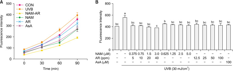 Combination of Nicotinamide and <i>Agastache rugosa</i> Extract: A Potent Strategy for Protecting Hs68 Cells from UVB-Induced Photoaging.