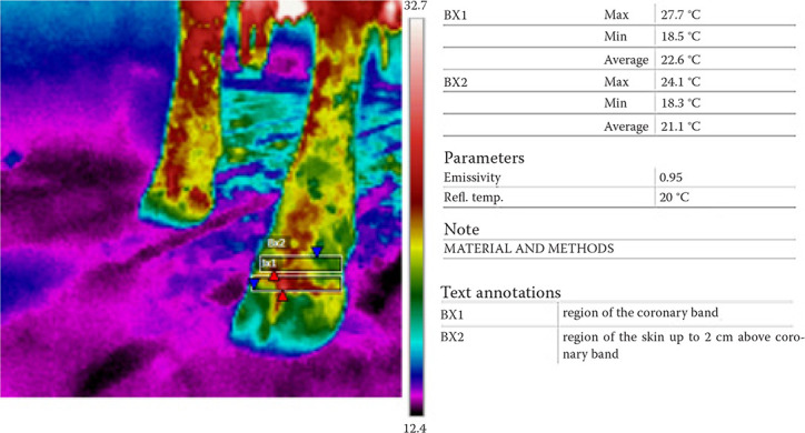 Evaluation of the hoof's temperature variations depending on lesion presence, measurement points and leg position.