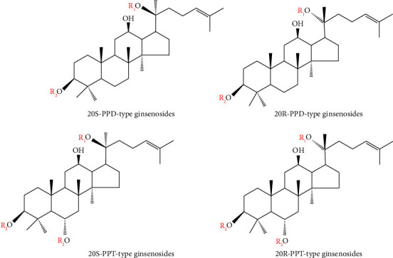Structural Characters and Pharmacological Activity of Protopanaxadiol-Type Saponins and Protopanaxatriol-Type Saponins from Ginseng.