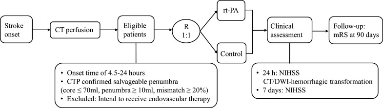 Treatment with intravenous alteplase in ischaemic stroke patients with onset time between 4.5 and 24 hours (HOPE): protocol for a randomised, controlled, multicentre study.