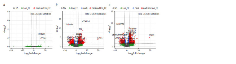 mRNA-lncRNA gene expression signature in HPV-associated neoplasia and cervical cancer.