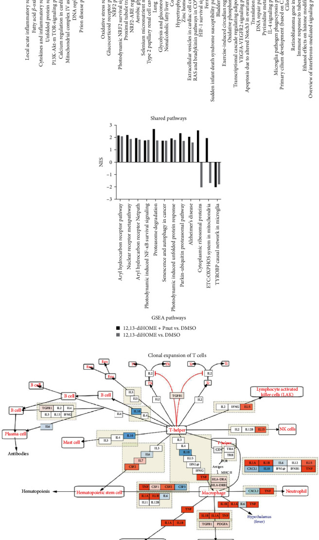 12,13-diHOME Promotes Inflammatory Macrophages and Epigenetically Modifies Their Capacity to Respond to Microbes and Allergens.