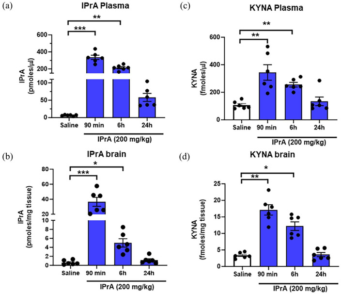 The Tryptophan Metabolite Indole-3-Propionic Acid Raises Kynurenic Acid Levels in the Rat Brain In Vivo.