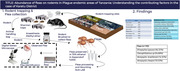 Flea Burden on Rodents and Its Associated Determinants in Plague-Endemic Localities of Karatu District, Tanzania: A Cross-Sectional Study.