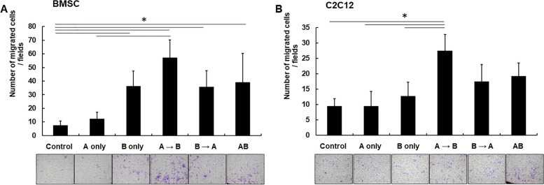 Potentiating effect of AMD3100 on bone morphogenetic protein-2 induced bone regeneration.