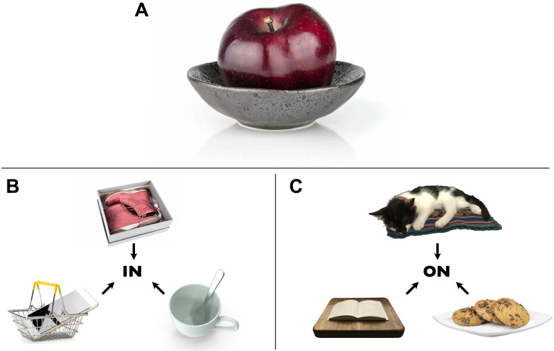 A Phone in a Basket Looks Like a Knife in a Cup: Role-Filler Independence in Visual Processing.
