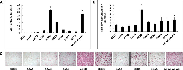 Potentiating effect of AMD3100 on bone morphogenetic protein-2 induced bone regeneration.