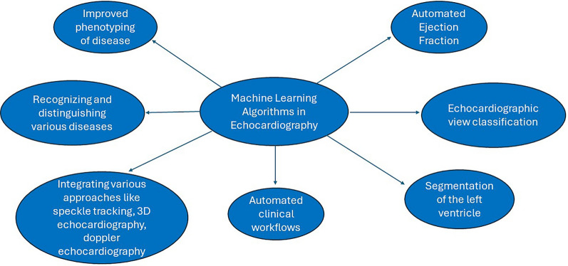 Broadening Perspectives of Artificial Intelligence in Echocardiography.