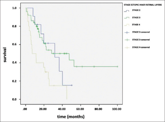 Long-term Follow-up Results of Idiopathic Epiretinal Membrane Removal in the Eyes with Ectopic Inner Foveal Retinal Layers.