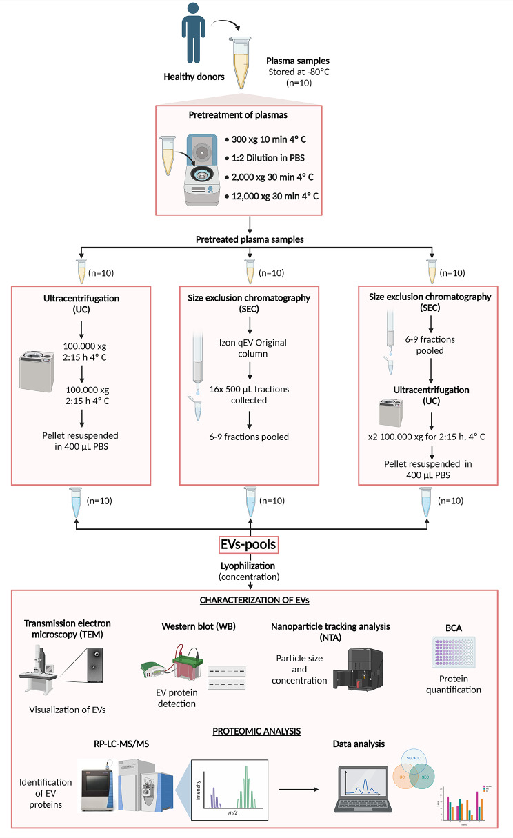 Comparing the Proteomic Profiles of Extracellular Vesicles Isolated using Different Methods from Long-term Stored Plasma Samples.