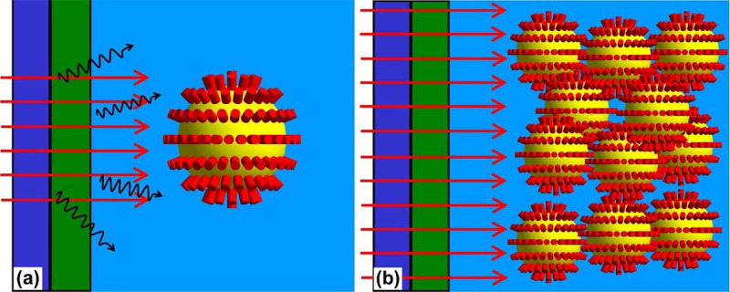 A Critical Look at Heavy Ion Beam Irradiation for Vaccine Development.