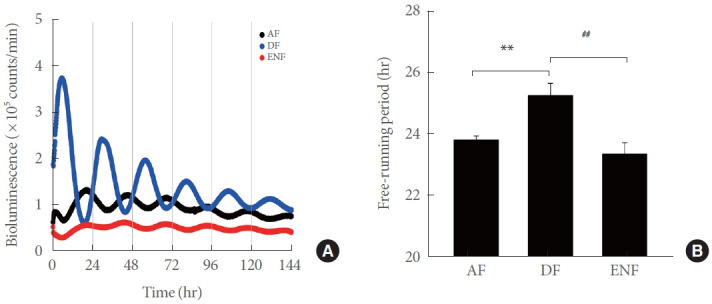 Chronic Mealtime Shift Disturbs Metabolic and Urinary Functions in Mice: Effects of Daily Antioxidant Supplementation.