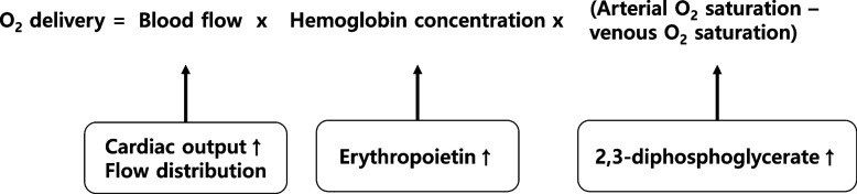 Preoperative consultation for determining the appropriate transfusion strategy.