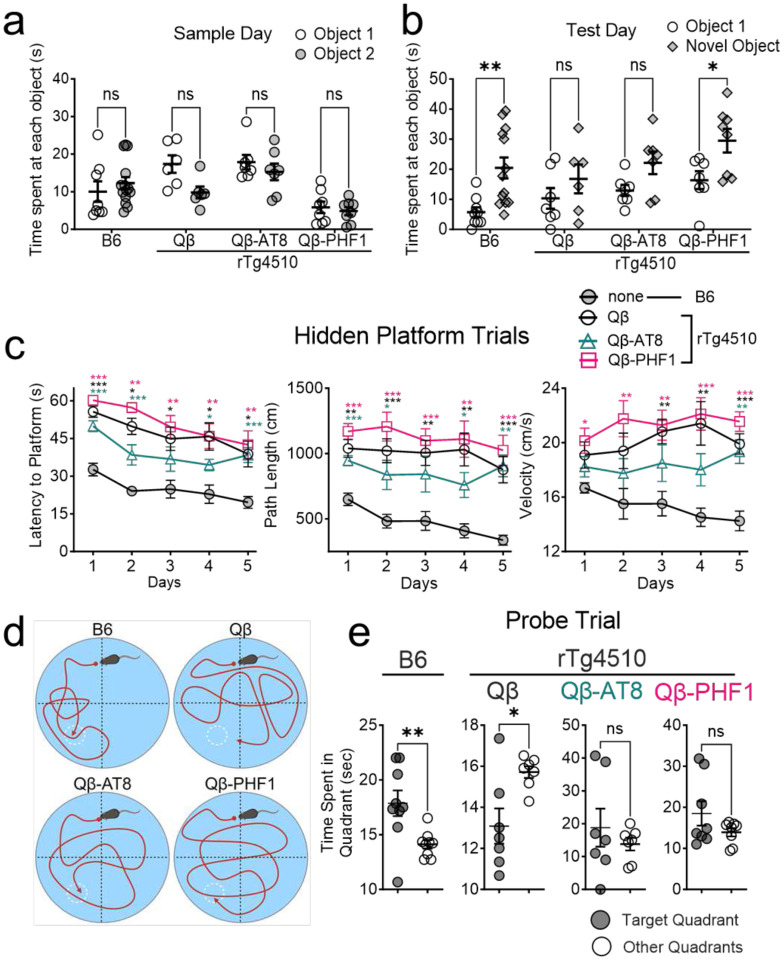 Virus-like particle (VLP)-based vaccine targeting tau phosphorylated at Ser396/Ser404 (PHF1) site outperforms phosphorylated S199/S202 (AT8) site in reducing tau pathology and restoring cognitive deficits in the rTg4510 mouse model of tauopathy.