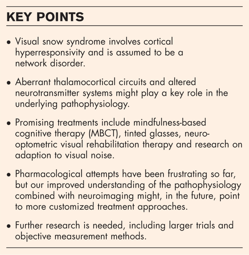 Visual snow syndrome: recent advances in understanding the pathophysiology and potential treatment approaches.