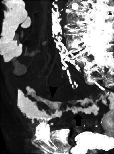 Abstract Image