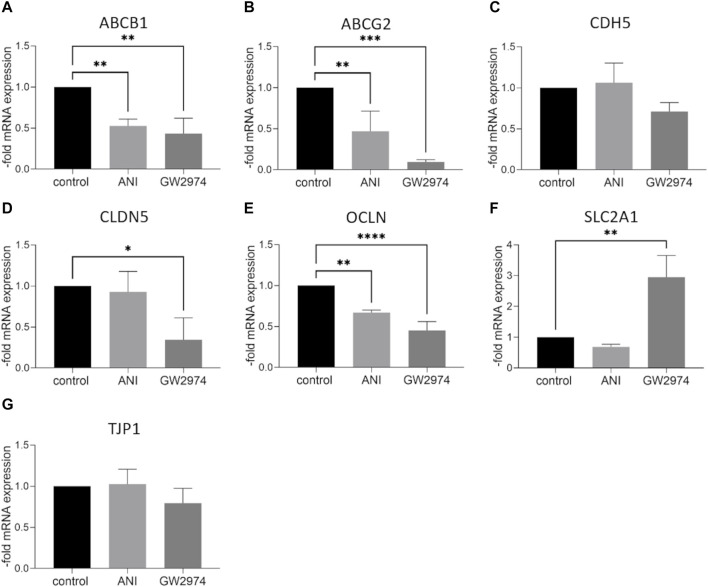 High-throughput drug screening to investigate blood-brain barrier permeability <i>in vitro</i> with a focus on breast cancer chemotherapeutic agents.